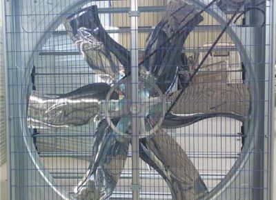 點(diǎn)擊查看詳細(xì)信息<br>標(biāo)題：Push Pull Type Animal Husbandry Fan 閱讀次數(shù)：2387